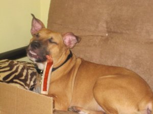 the next morning in my office. "I think I'm gonna like it here!!"