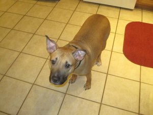 67153_839671873784_4985204_n