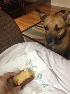 hmm..that GF bread looks delicious mom!