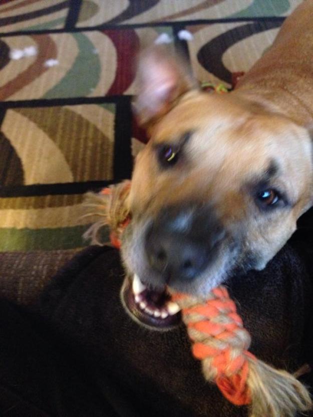 1011781_10101545311784704_1545425180_n