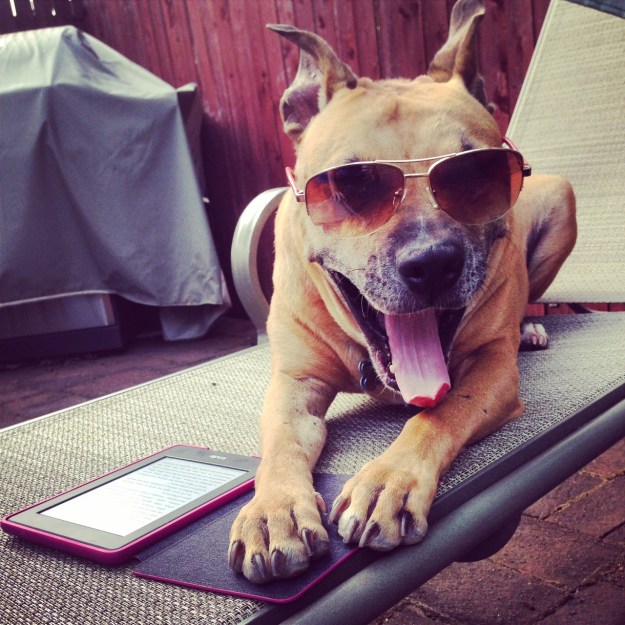 Just hanging out reading mom's kindle.