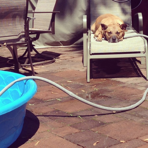 After a long swim in his pool.