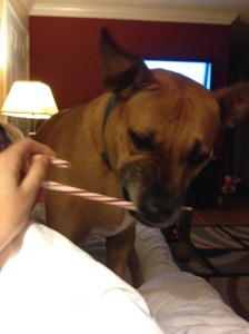 What is this? And how do I open it?