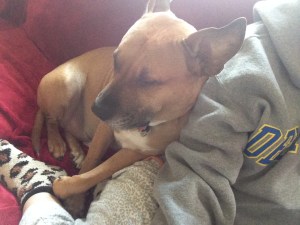 I do not like the cold weather, so I snuggle a lot.